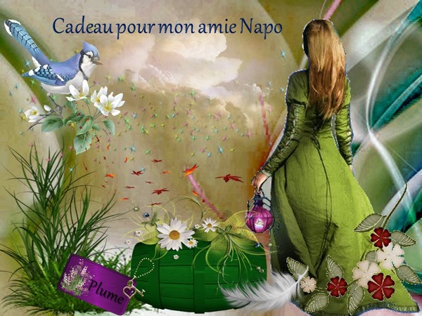 Kado pour mon amie Napo