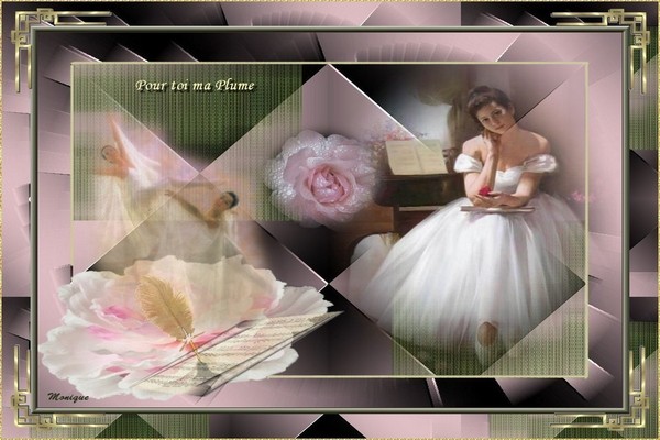 La danse des mots dans le coeur de Plume
